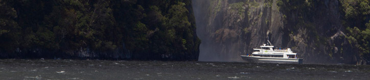 Kiwi Discovery, Milford Sound