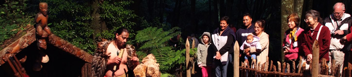 Maori carver, Tamaki Heritage Experiences. Image: Destination Rotorua Marketing