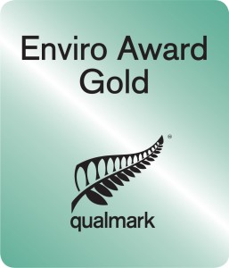Enviro Gold Award